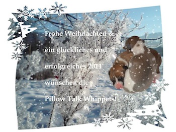kopie-von-weihnachten2010s-small.jpg
