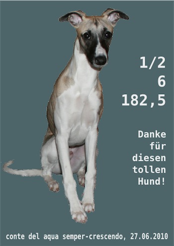 mono_halber_geburtstag-small.jpg