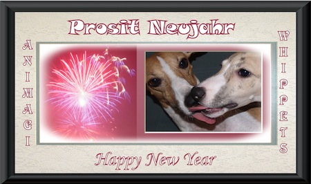 neujahr2010-2011-small.jpg