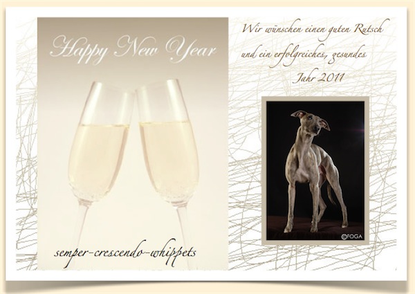silvester_5-small.jpg
