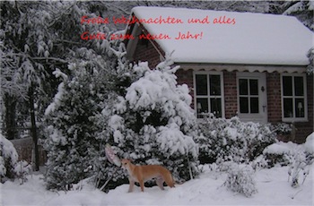 vorlage-3-10-b-mit-schrift-small.jpg