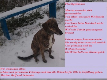 weihnachten-1-small.jpg