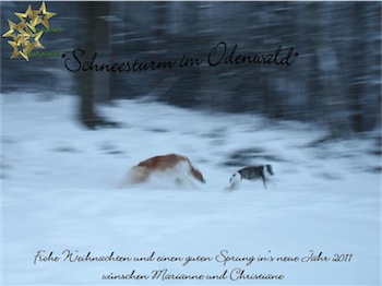 weinachten2010-2-small.jpg