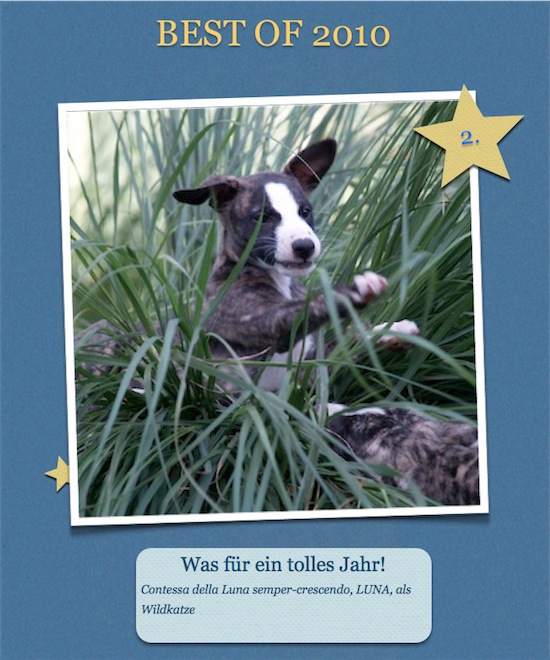 zwei-small.jpg