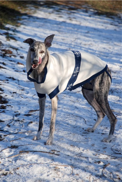winter-small.jpg