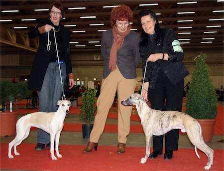 iha-fribourg-19022011-119-small.jpg
