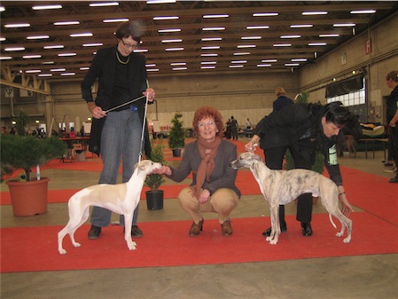 img_6563-small.JPG