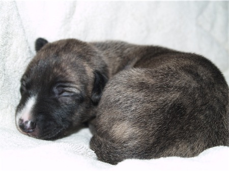 elettra_2-small.JPG