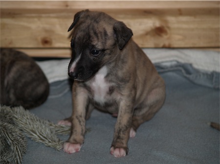 giacomo-2003_2-small.JPG