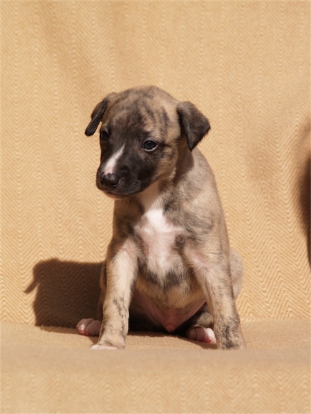 giacomo2003_2-small.JPG