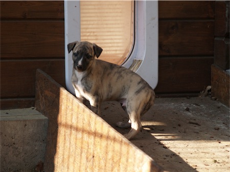 giacomo2703_1-small.JPG