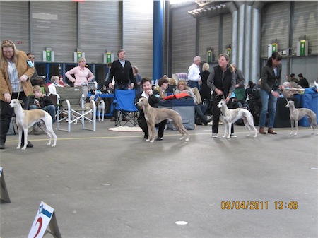20110409-oldenburg-003-small.jpg