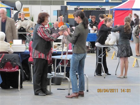 20110409-oldenburg-010-small.jpg