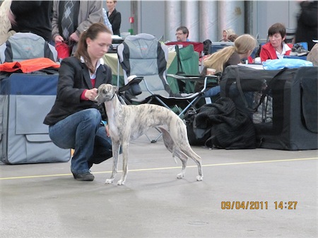 20110409-oldenburg-027-small.jpg