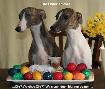 die-osterlammer-small.JPG