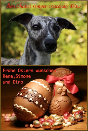 dino_ostern-small.jpg