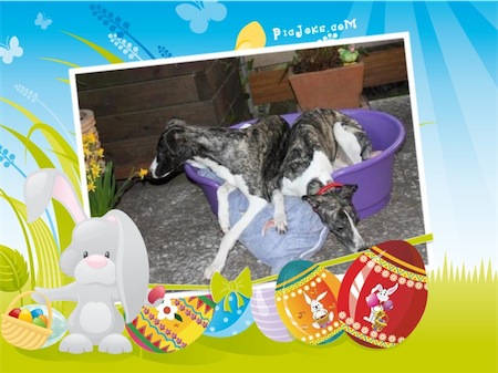 happy-easter-small.jpg