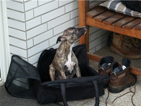 1405_7-small.JPG