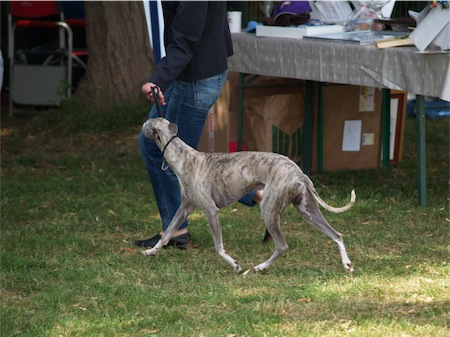 pepper_2905_1-small.JPG