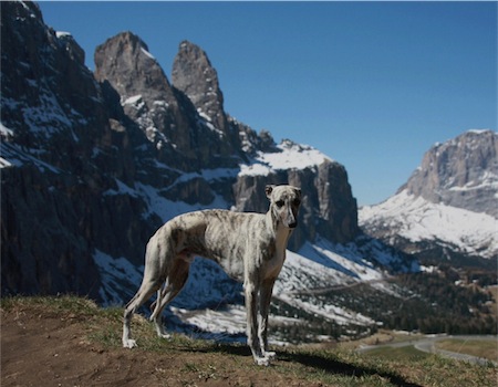 sejour-dolomites-lac-de-garde-2011-199-small.jpg