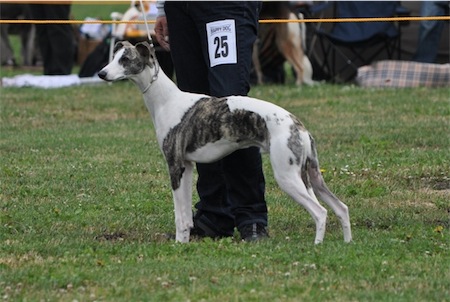 dsc_0309-small.JPG