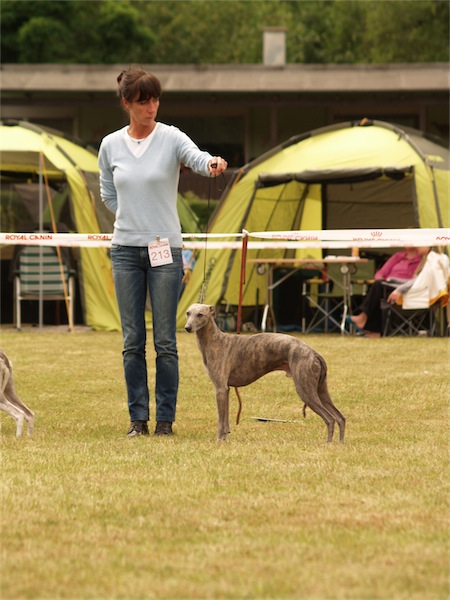fynn_1106-small.JPG