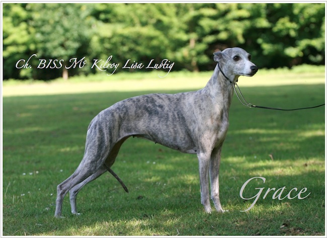 grace_schloss-small.jpg