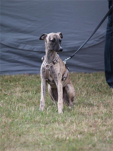 jace_1106-small.JPG