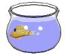fische00019.gif