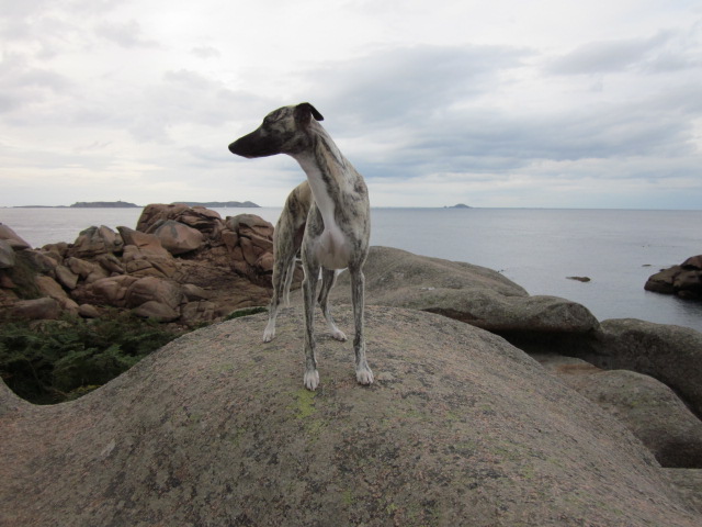 bretagne-2011-038-kopie.JPG