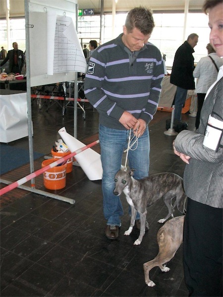 ausstellung-sassi-108-small.jpg