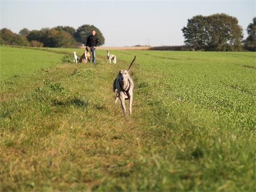 fynn_12310-small.JPG