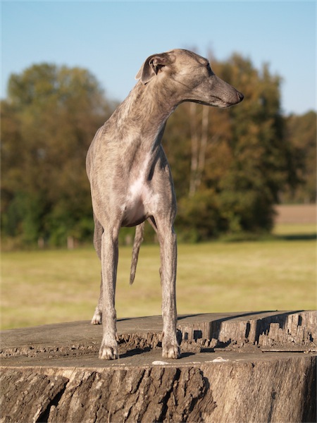 fynn_62310-small.JPG