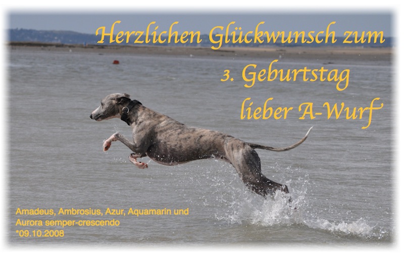geburtstag_3-small.jpg