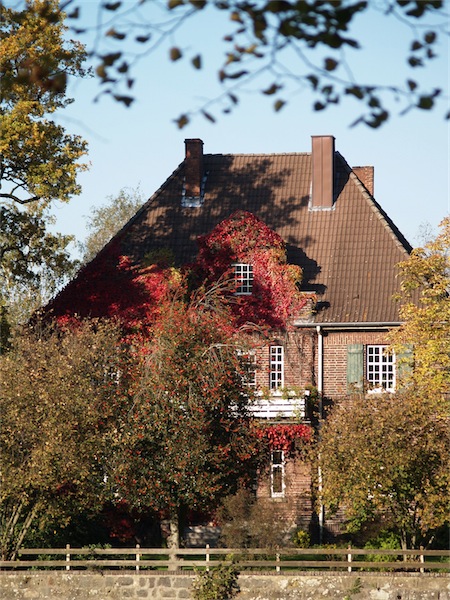 haus-small.JPG