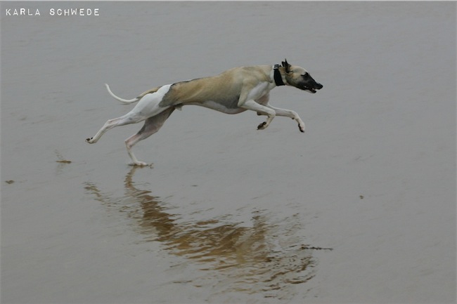 mono_28_10_2011_2_gross-small.jpg