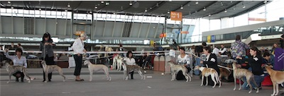 stuttgart-5et-6102011-026-small.JPG