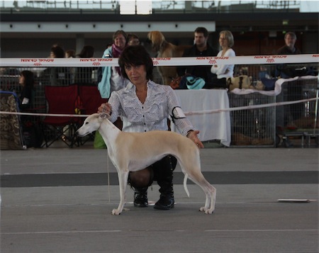stuttgart-5et-6102011-030-small.JPG