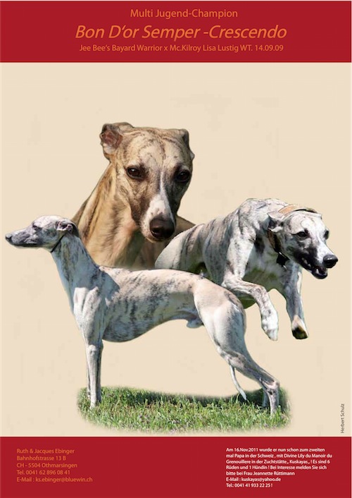 ebinger-small.jpg