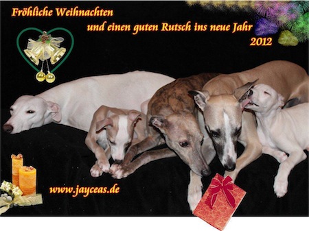 frohliche-weihnachten-wunscht-jayceas-small.jpg
