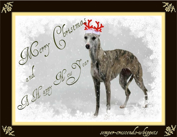 grace_weihnachten_3-small-2.jpg