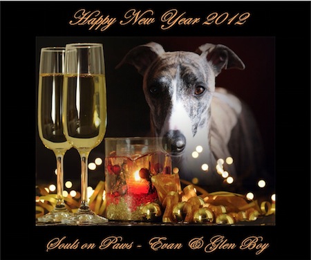 happy-new-year-2012-small.jpg