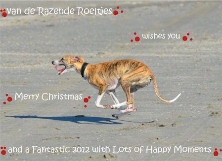 kerstkaart-2011-small.jpg