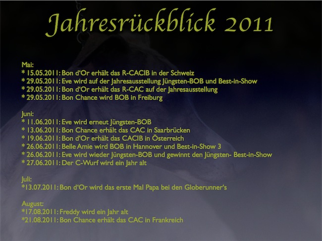 ruckblick002-small.jpg
