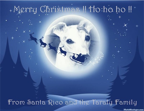 santa-rico-small.jpg