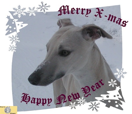 time-for-a-merry-xmas-2011-small.jpg