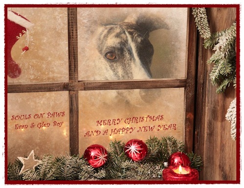 weihnachten-2011-1-small.jpg