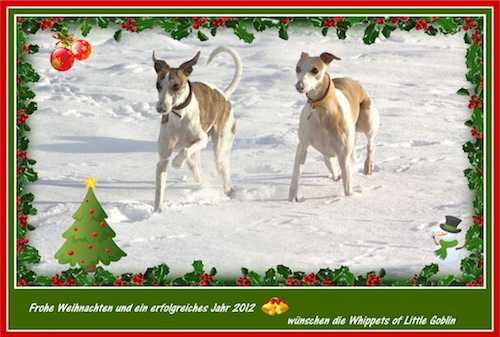 weihnachten-2011-small.jpg