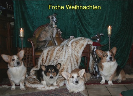 weihnachten2011-small.jpg