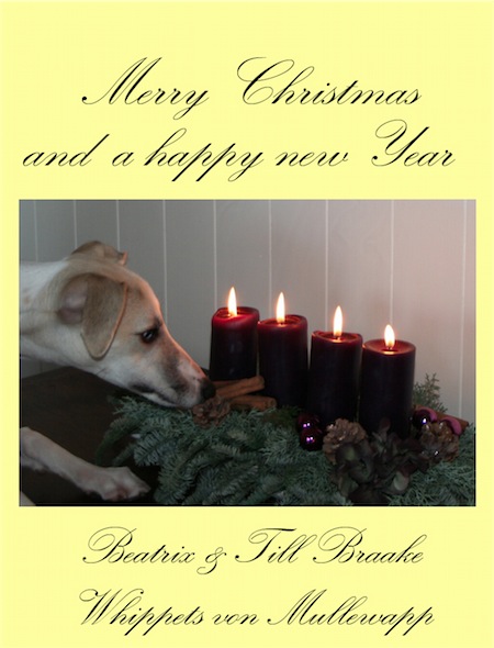 weihnachten_gestaucht_schwarz_neu_4-small.jpg